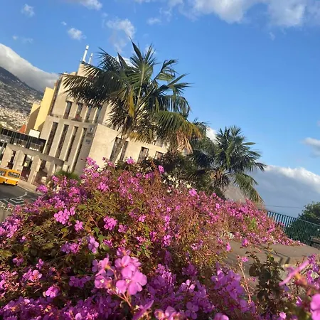 Center Marina View Yellow *