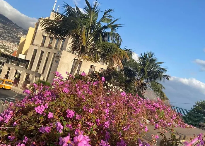 Center Marina View Yellow *